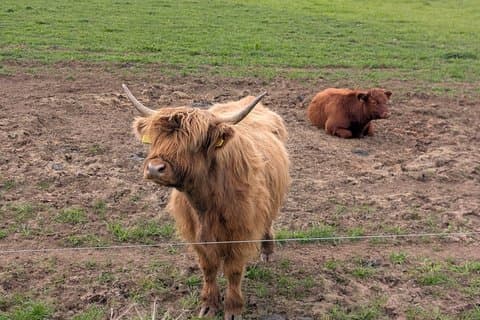 Private Loch Lomond Highlands Tour
