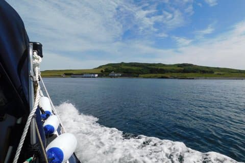 Lambay Island Wildlife Sea Safari