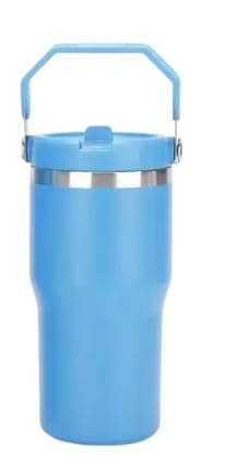 Insulated Stainless Steel Tumblers Water Drinking Flask with Handles and Color Options for Travel, Outdoor, Workout (Turquoise, Small)