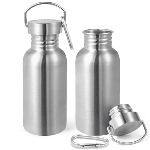 Volhoply 500ml Uninsulated Single Walled Water Bottles 2 Pack, Stainless Steel Sports Water Bottle with Handle & Carabiner, BPA Free Reusable Water Flask for Camping Hiking Biking (Silver,2)
