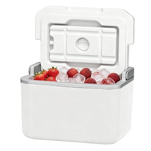 Small Hard Cooler,with Handle Leakproof Portable Insulated 5L - Hard Case Cooler Box - for Camping Picnic Fishing Boating Hiking BBQ Beach Travel Tailgating Road Trips