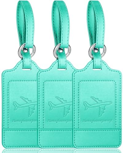 Teskyer 3 Luggage Tags for Suitcases, Travel Essentials, Cyan