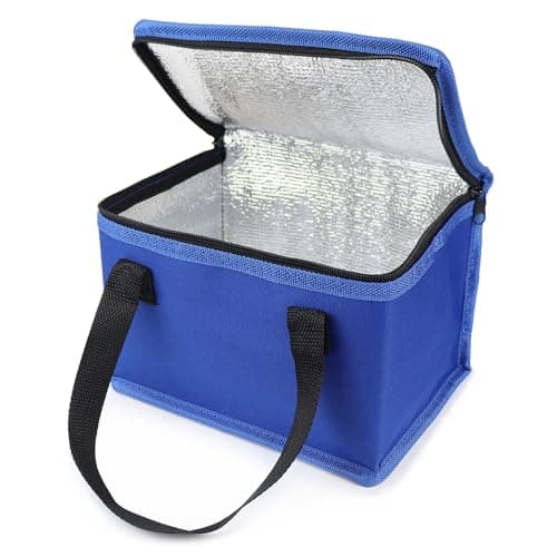 Fashion Stationery Insulated Lunch Bag, Polyester, Small Cooler