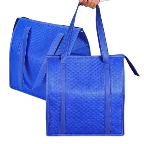 Insulated Tote Bag 2 Pieces – Thermal Reusable Large Food Carrier