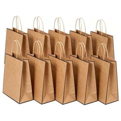 SHUBEIEUMI 10Pcs Kraft Paper Bags with Handles, Paper Party Bags 21x15x8cm Small Gift Party Bags, for Present, Candy, Cookie, Celebrations, Birthday-Brown with Black Border