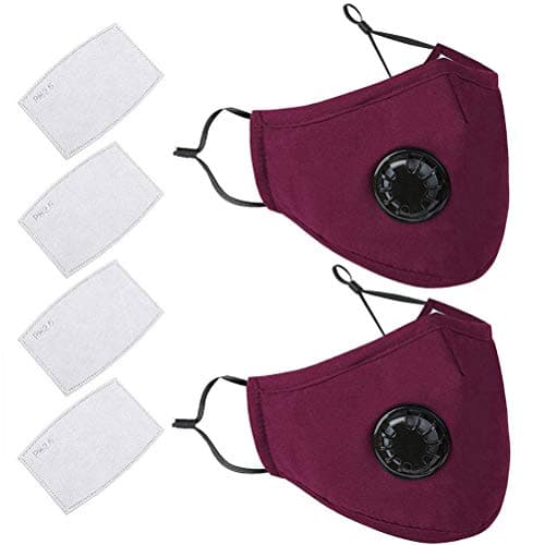 sdgfd 2 PIECES Washable Anti-Fog Anti Dust Mask Antibacterial activated carbon filter mouth mask with filter, PM 2.5 dust mask with 4 air filter cotton towels