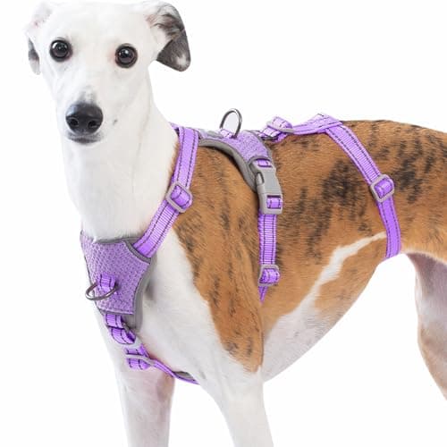Huntboo Escape Proof Dog Harness Medium, No Pull dog harness