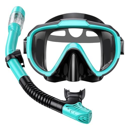 Lealinga Snorkel Set Adult Kid Panoramic View Snorkel Mask with Travel Bag