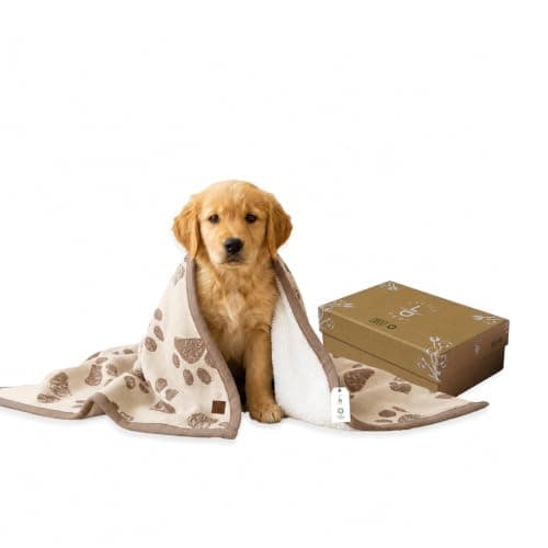 Little Dedi Organic Cotton Pet & Baby Blanket 75 x 95 cm, Mocha Meringue – Sherpa Fleece, Soft for Dogs, Cats & Infants, Machine Washable