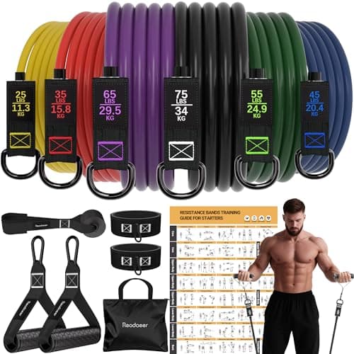 Resistance Bands Set with Handles for Men Women, Exercise Bands, 300 LBS