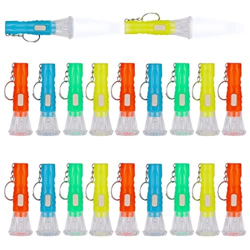 FRIUSATE 20 Pcs Mini Torches Keyring LED Keyring Torch LED Keychain Torch