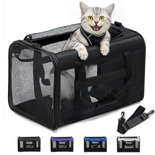 Conlun Cat Carrier Bag,Soft-Sided Pet Carriers for Dogs with 4-Sided Mesh,Airline Approved Cat Transport Carrier for Small&Medium Cats Kitten Puppy Up to 6Kg,Collapsible Cat Travel Carrier-M,Black