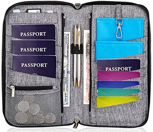 Valante Premium Family Travel Document Organizer Capacious RFID Passport Holder Wallet, Gray, L, RFID Wallet