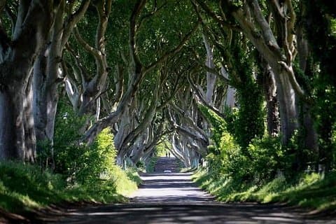Game of thrones locations and Giants causeway tour