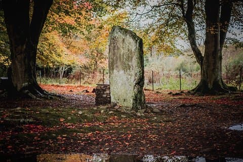 Glen Affric & Culloden Tour from Inverness Including Admissions