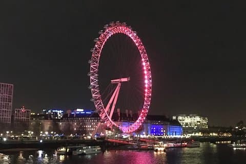London's City Lights by Night Private Tour