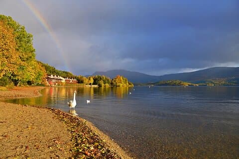 Highland Lochs, Glens and Castles Small Group Tour from Edinburgh