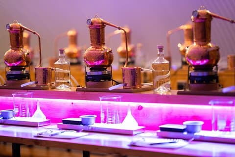 Sip & Learn Gin Tasting in Aberdeen