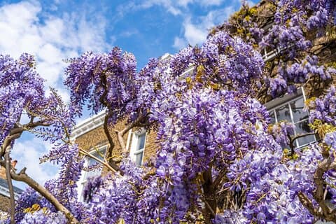 Interactive Treasure Hunt Experience of Kensington's Secrets