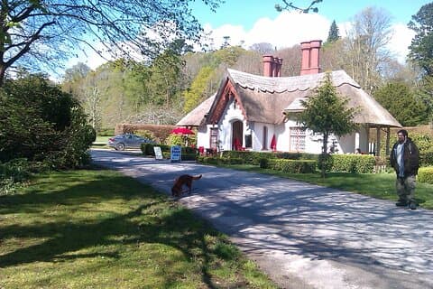 Guided Killarney National Park Walking Tour