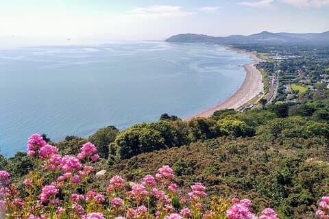 Private Dublin (Dun Laoghaire) Top-Rated Coastal Walking Tour