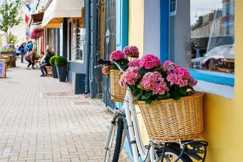 Private Experience Journey Through Ireland’s Heart
