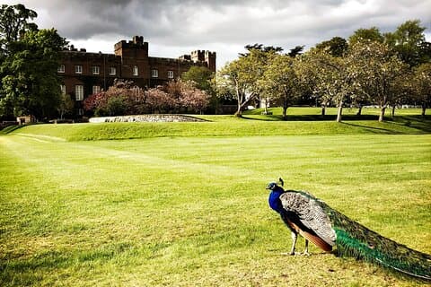 Private Scotland Tour: St Andrews, Stirling & 4 Historic Cities