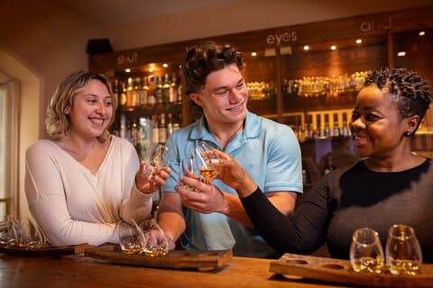 Dublin: Irish Whiskey Museum Tour with 3 or 4 Tastings