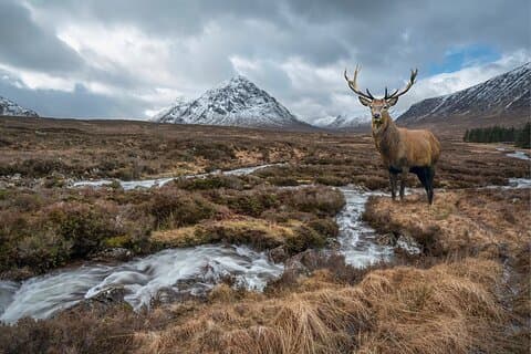 Private Luxury Tour of The Highlands and Loch Ness From Glasgow