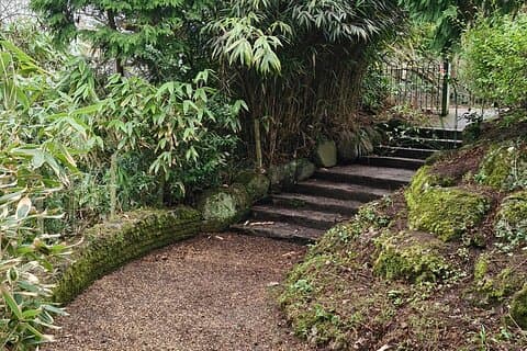 A Unique Belfast Walking Experience with a local Gardener