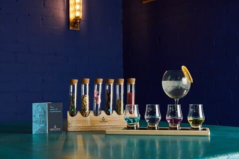 London Gin tasting and Masterclass