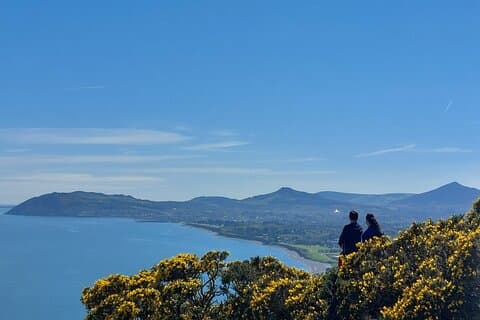 Dublin Private City Highlights and Suburbs Tour