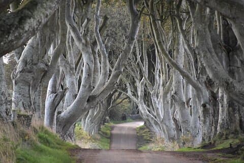 Private Day Trip from Dublin to Giant’s Causeway, Belfast & More