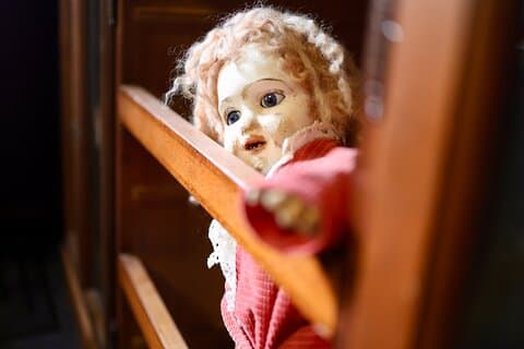 Dublin Museum of Curiosities
