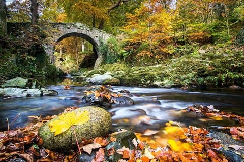 From Belfast: Private Mourne Mountains Scenic Day Tour