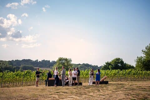 Henley Wine Tour: Explore 3 Boutique Vineyards with Lunch