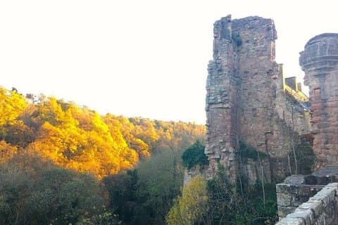 Rosslyn Chapel and Gin Distillery Small Group Tour with Admission