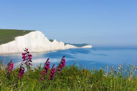 London Seven Sisters and Brighton Private Day Tour