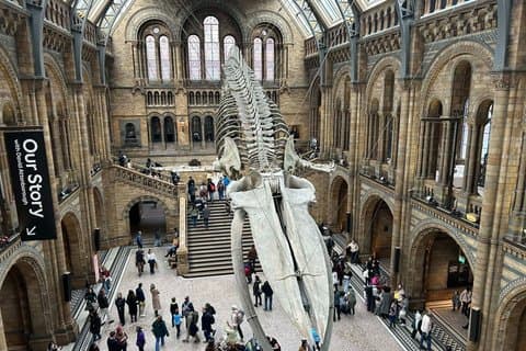 Guided tour London Natural History Museum in Spanish