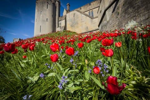 Brighton, Arundel & South Downs Private Luxury Tour from London