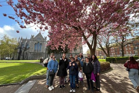 Dublin Literary Walking Tour with Afternoon Tea and Museum Entry