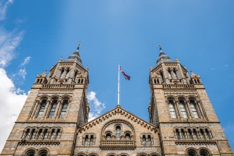 Natural History Museum Guided Tour of London with Fast Entry