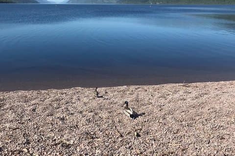 Loch Ness Tour