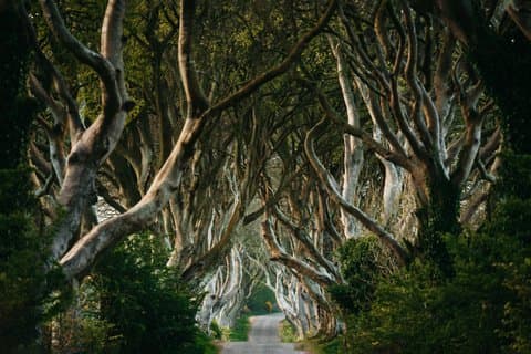 Game of Thrones North Antrim Coast Tour