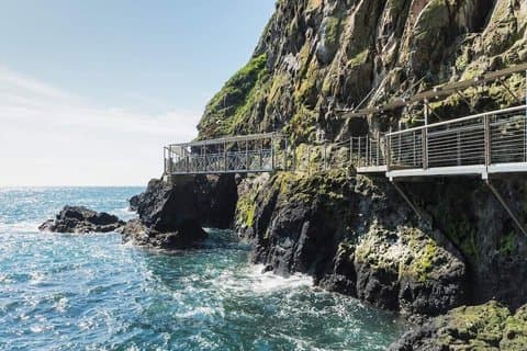 The Gobbins Half-Day Tour in a Luxury Minivan from Belfast