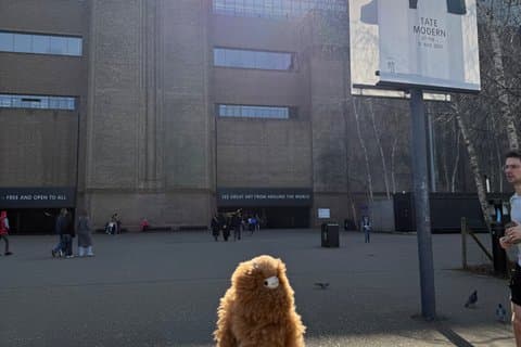 Tate Modern Private Guided Tour