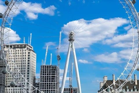 Private 8 Hour London Highlight Tour with Heathrow Airport Pickup