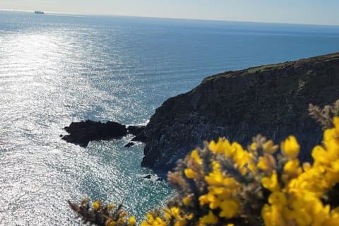 Howth Cliff Walk Guided Scenic Wildlife Hike