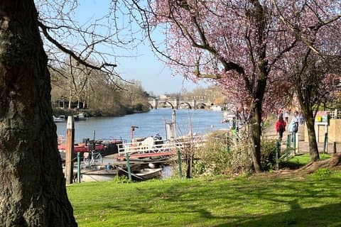 Nordic Walking Tour of Richmond